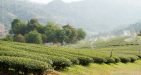 Thailand-Chiang-Rai-2