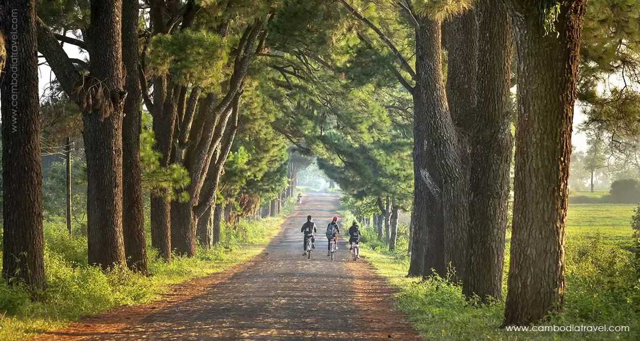VietNam-PleiKu-2