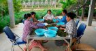 Cambodia-Kampot-Pepper-plantation-1