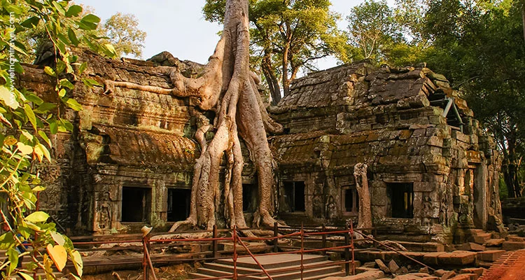 Cambodia-Phnom-Penh-Ta-Prohm-temples-1