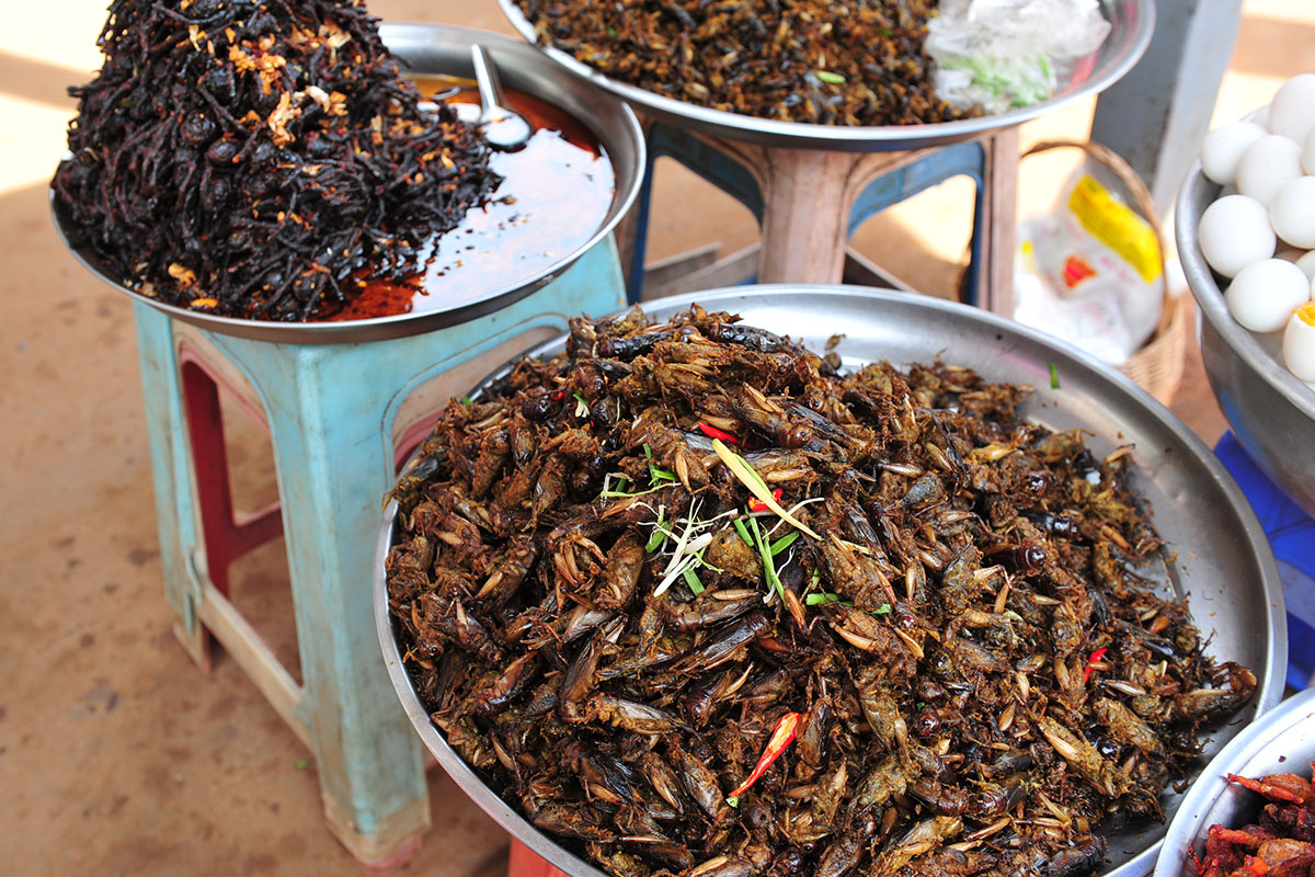 Adventurous tourists can try deep-fried insects sold everywhere in Cambodia. 
