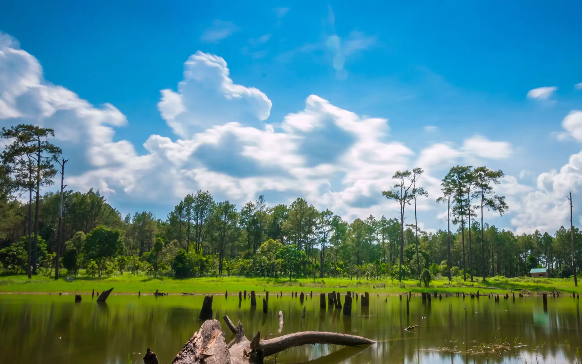 Kirirom National Park