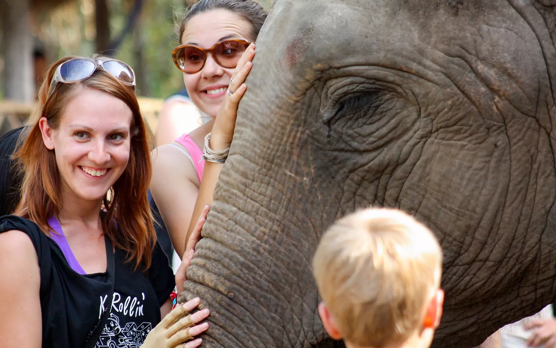 Phnom Tamao Wildlife Rescue Centre